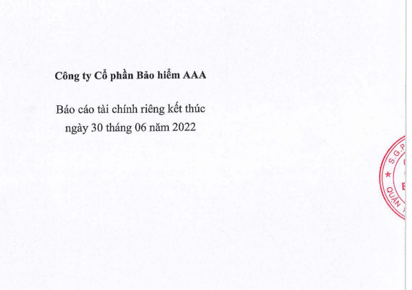 BÁO CÁO TÀI CHÍNH QUÝ 2 NĂM 2022